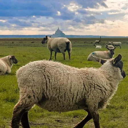 La Granv'illaise Granville